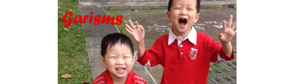 Garisms – Funny Stuff From A 33-Month Old Boy