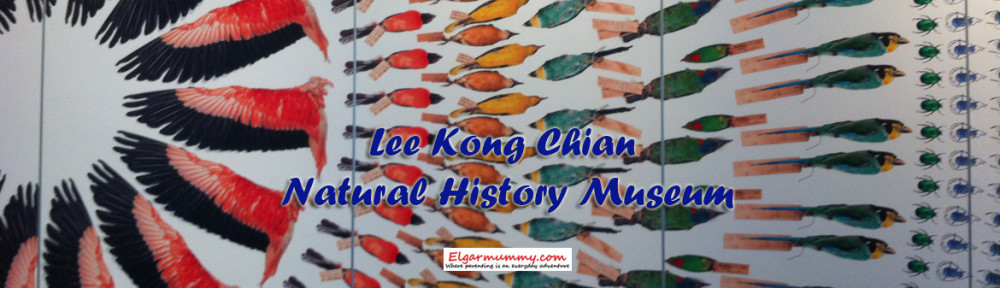 Lee Kong Chian Natural History Museum