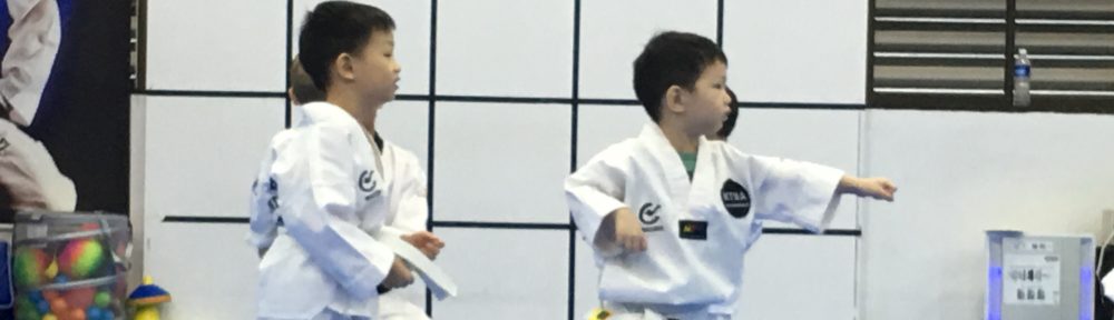 Taekwondo Lessons